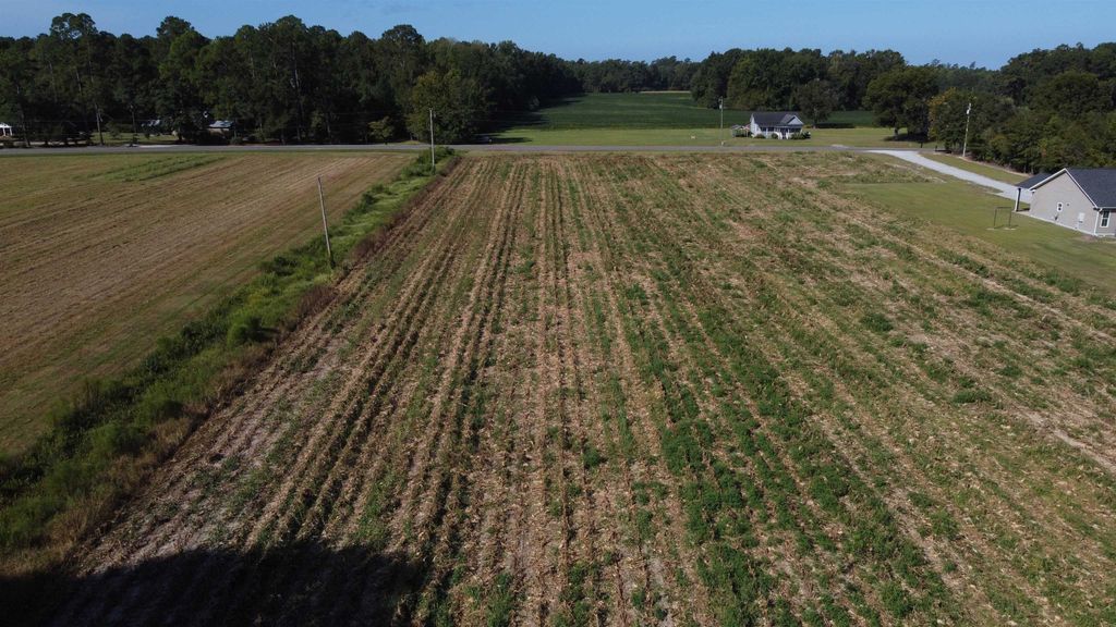 LOT 2 Mar Cap Rd., Galivants Ferry, SC 29544 — photo 3