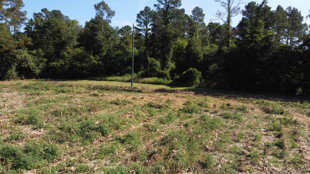 LOT 2 Mar Cap Rd., Galivants Ferry, SC 29544 — photo 4