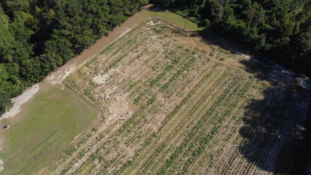 LOT 2 Mar Cap Rd., Galivants Ferry, SC 29544 — photo 5