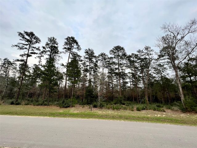 TBD 8 Lily Bean, Montgomery, TX 77316