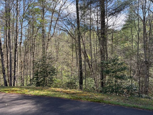 Lot 89 Spectacular, Hayesville, NC 28904