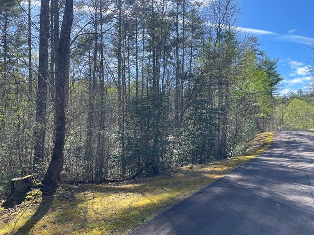 Lot 89 Spectacular, Hayesville, NC 28904