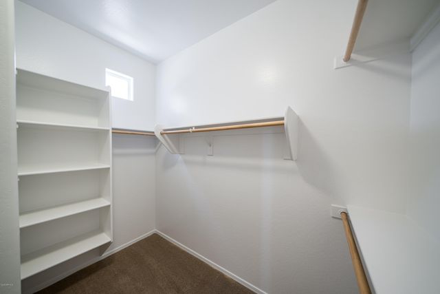 1774 W Pelican Drive, Chandler, AZ 85286