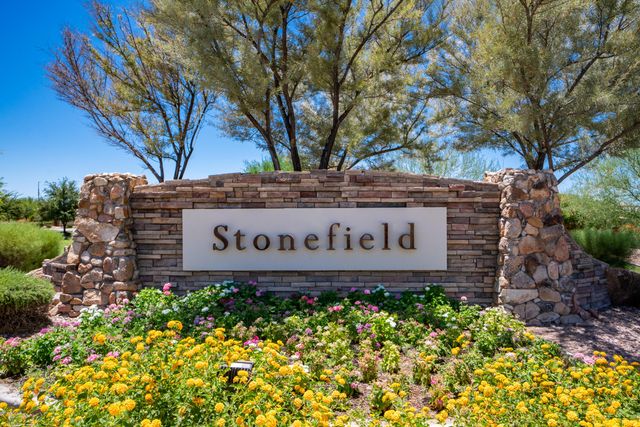 1774 W Pelican Drive, Chandler, AZ 85286