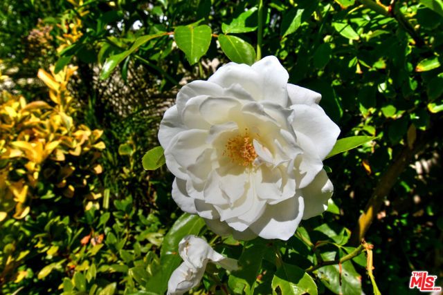 3661 El Encanto Drive, Calabasas, CA 91302