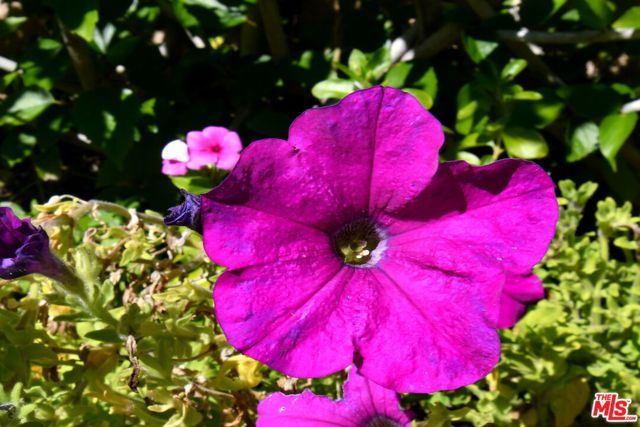 3661 El Encanto Drive, Calabasas, CA 91302