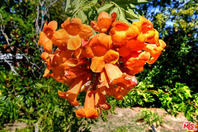 3661 El Encanto Drive, Calabasas, CA 91302