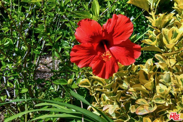 3661 El Encanto Drive, Calabasas, CA 91302