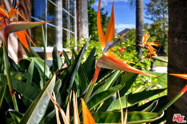 3661 El Encanto Drive, Calabasas, CA 91302