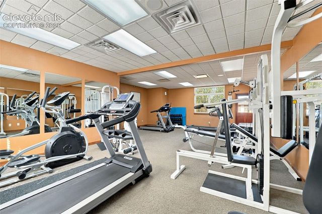 7695 Whiptail Point, Colorado Springs, CO 80922