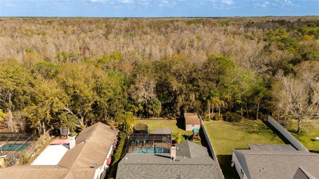 Image 41 of property listing at 12111 STEPPINGSTONE BOULEVARD, Tampa, FL 33635