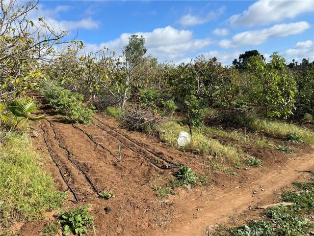 2205 Bautista, Vista, CA 92084