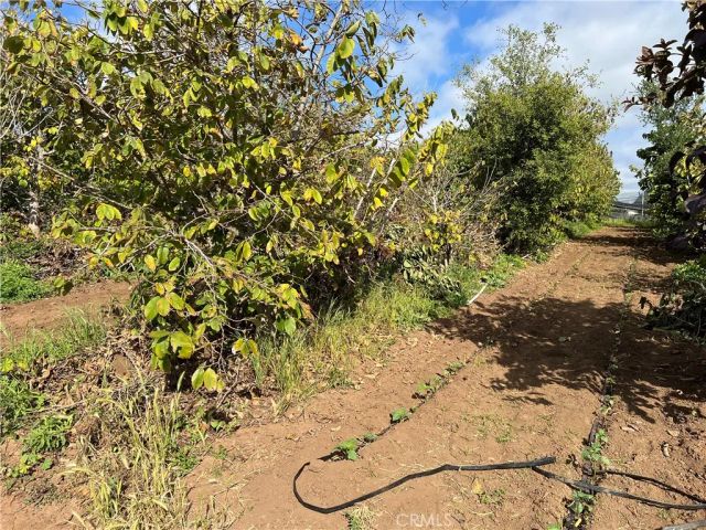 2205 Bautista, Vista, CA 92084