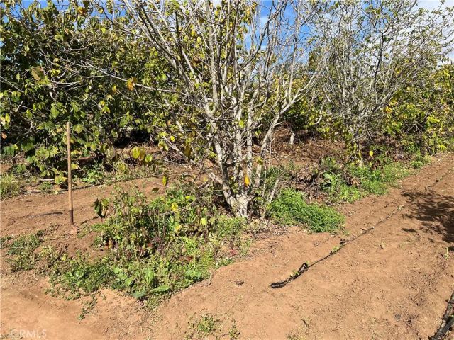 2205 Bautista, Vista, CA 92084