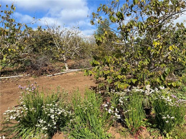 2205 Bautista, Vista, CA 92084