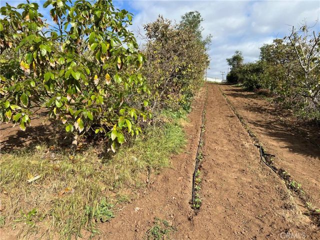 2205 Bautista, Vista, CA 92084