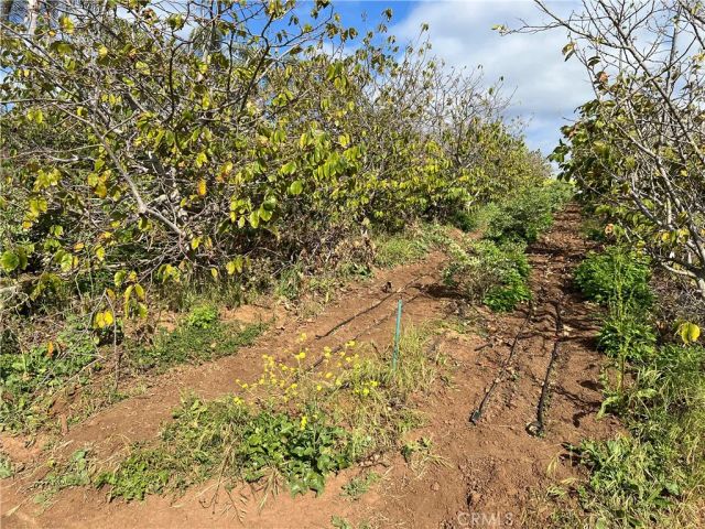 2205 Bautista, Vista, CA 92084