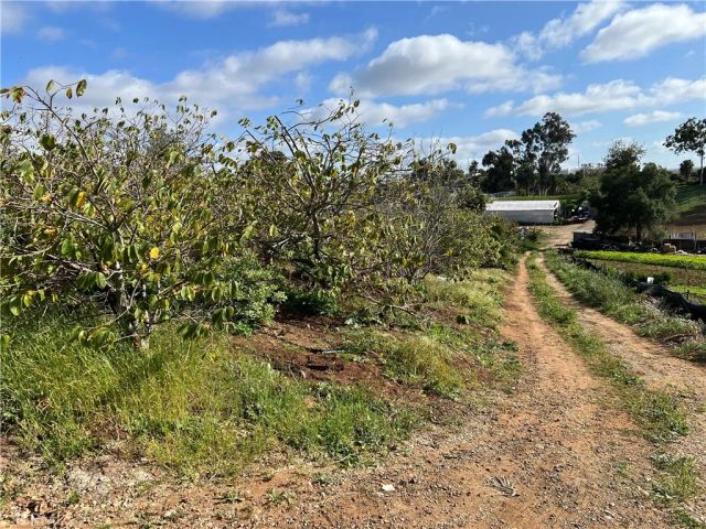 2205 Bautista, Vista, CA 92084