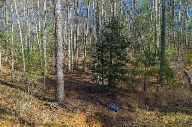 Lot 117 Jumper Drive, Ellijay, GA 30540