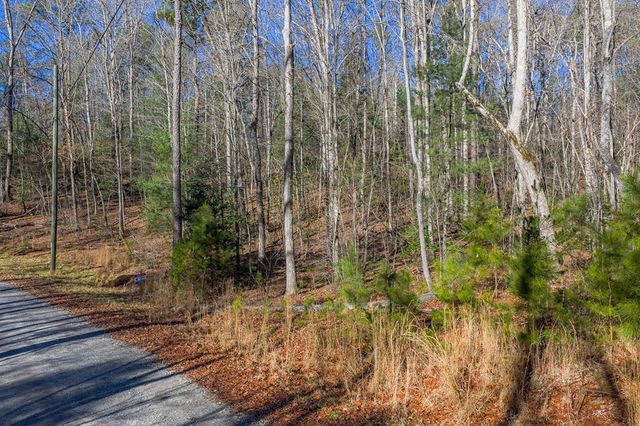 Lot 117 Jumper Drive, Ellijay, GA 30540