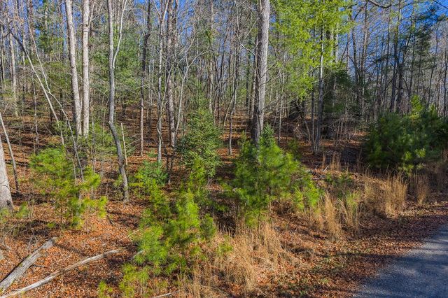 Lot 117 Jumper Drive, Ellijay, GA 30540