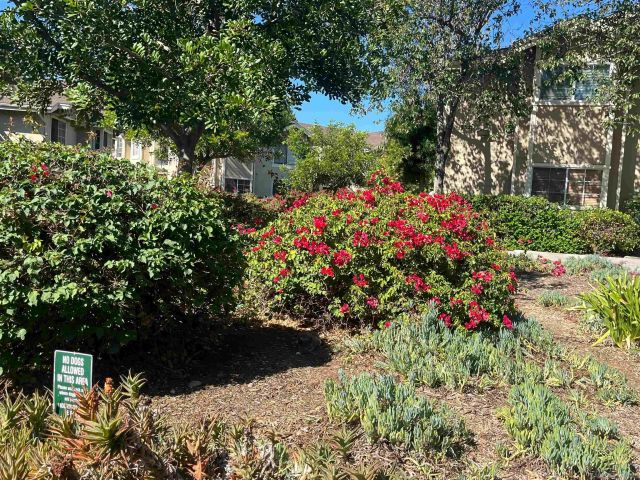 3635 Grove St 267 267, Lemon Grove, CA 91945