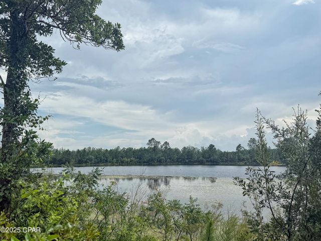 00 McPherson Drive, Alford, FL 32420