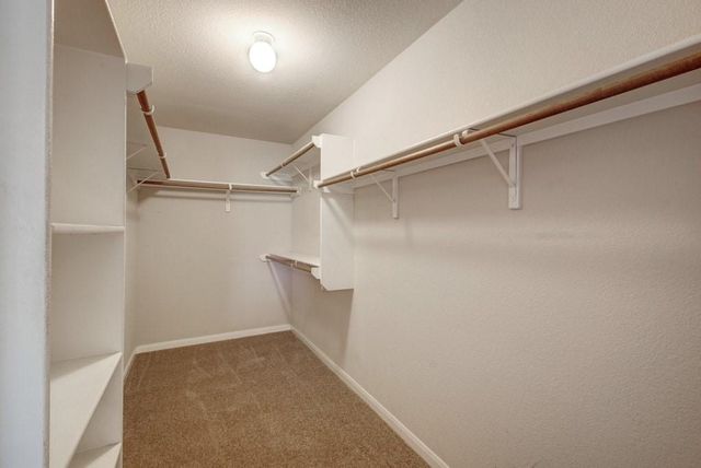 19704 Vilamoura ST, Pflugerville, TX 78660