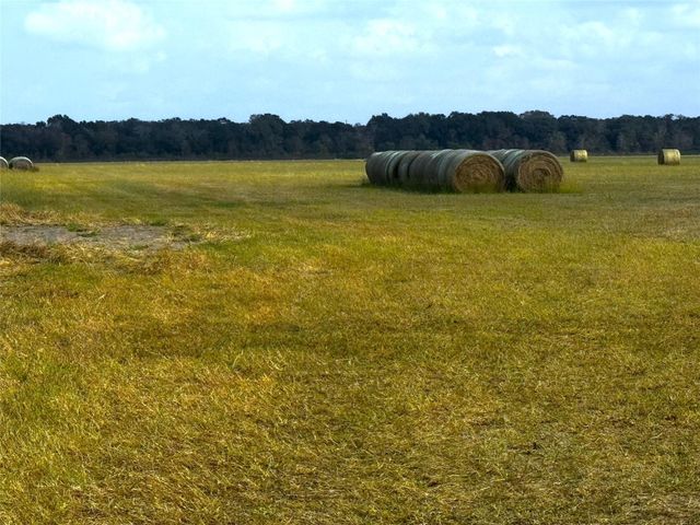 TBD County Road 321, Louise, TX 77455