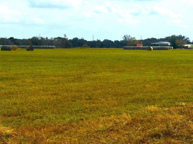 TBD County Road 321, Louise, TX 77455