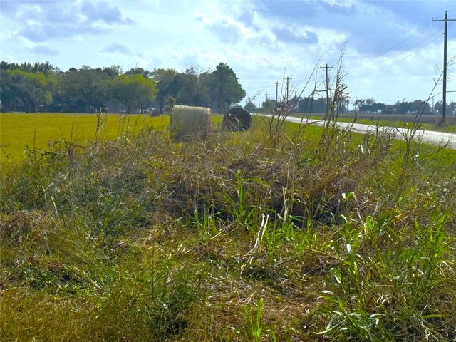 TBD County Road 321, Louise, TX 77455