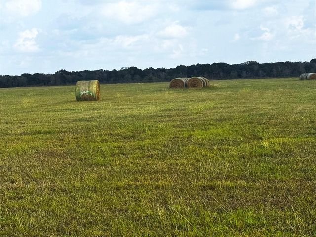 TBD County Road 321, Louise, TX 77455