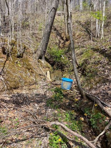 768 Clinton Stiltner Road, Frenchburg, KY 40322