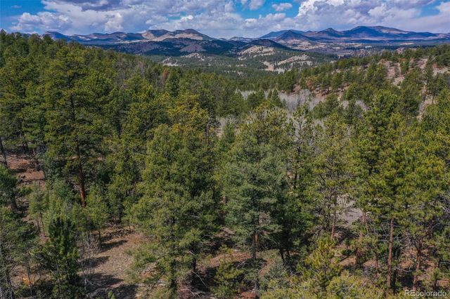 487 Pike View Lane, Florissant, CO 80816