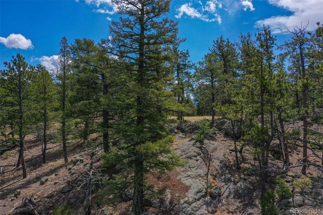 487 Pike View Lane, Florissant, CO 80816