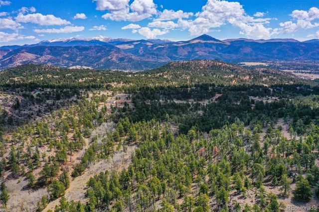 487 Pike View Lane, Florissant, CO 80816