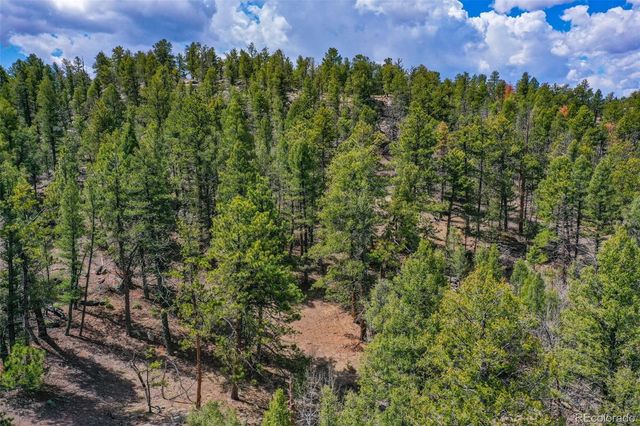 487 Pike View Lane, Florissant, CO 80816