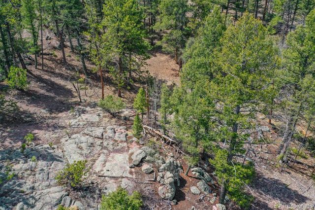 487 Pike View Lane, Florissant, CO 80816