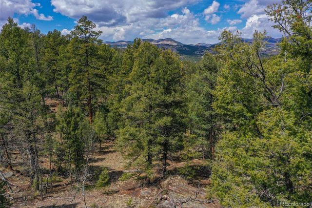 487 Pike View Lane, Florissant, CO 80816