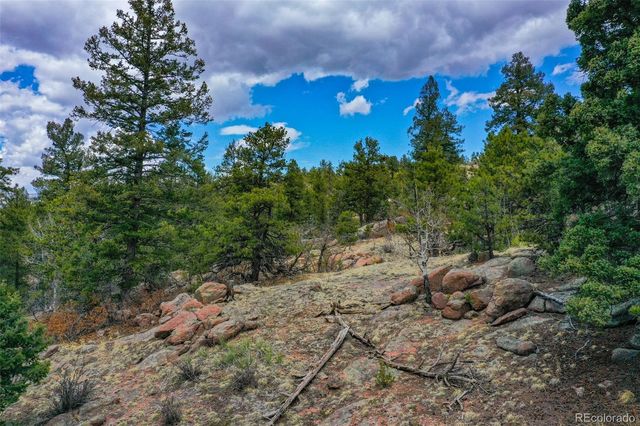 487 Pike View Lane, Florissant, CO 80816