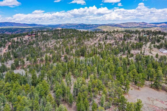 487 Pike View Lane, Florissant, CO 80816