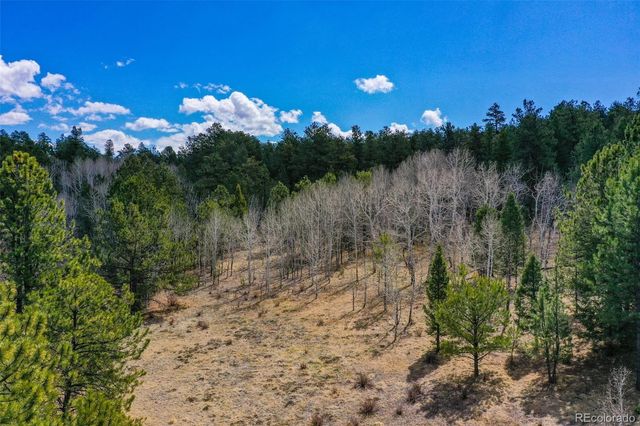487 Pike View Lane, Florissant, CO 80816