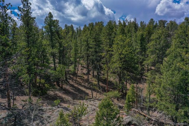 487 Pike View Lane, Florissant, CO 80816