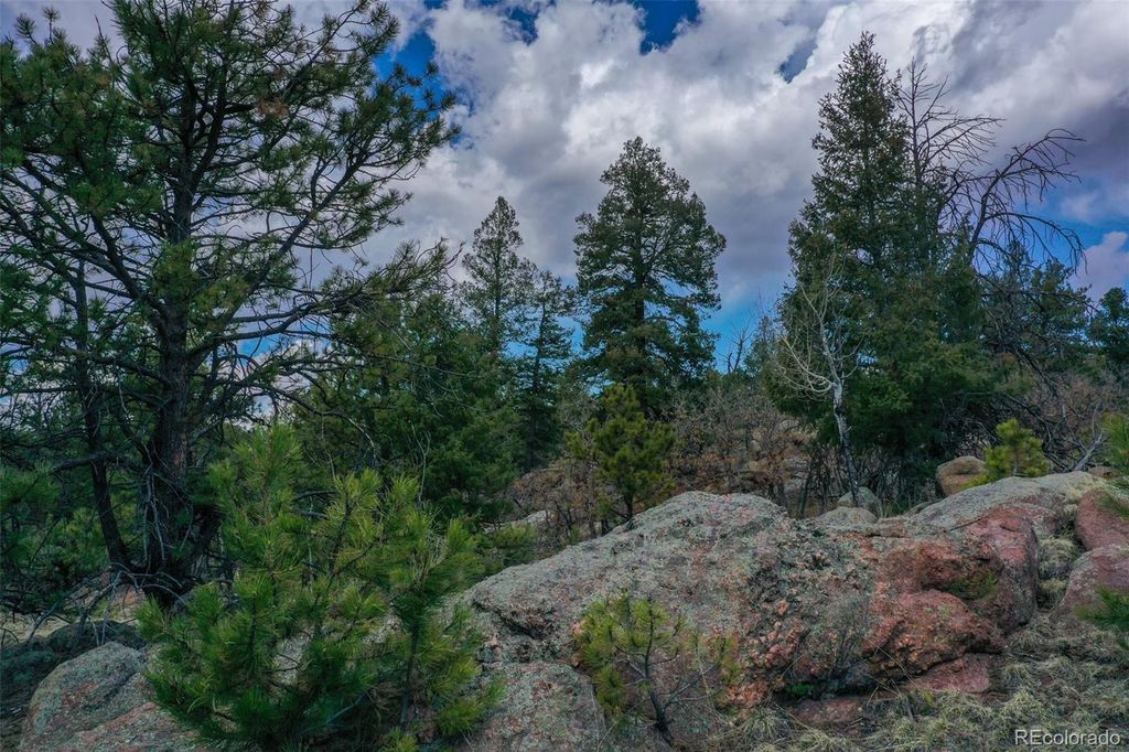 487 Pike View Lane, Florissant, CO 80816