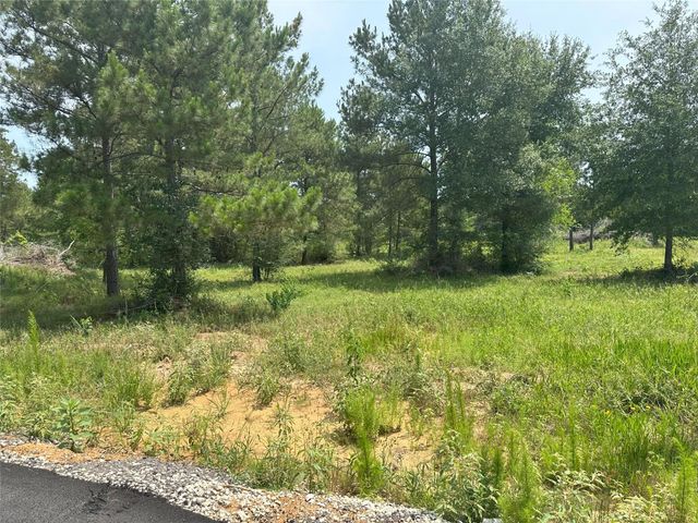 0 Crockett Road, Waller, TX 77484