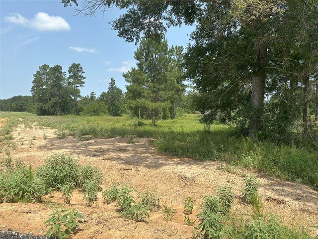 0 Crockett Road, Waller, TX 77484