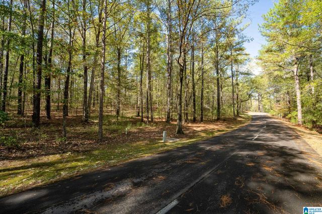 301 CARNOUSTIE, Birmingham, AL 35242