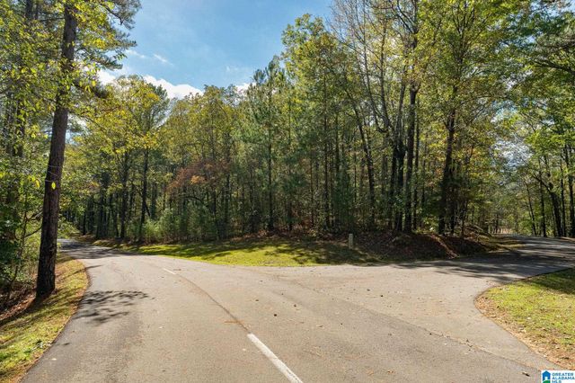 301 CARNOUSTIE, Birmingham, AL 35242