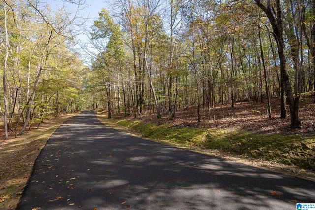 301 CARNOUSTIE, Birmingham, AL 35242