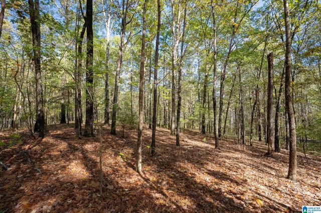 301 CARNOUSTIE, Birmingham, AL 35242